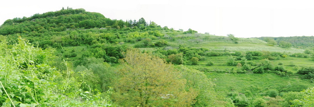 veronaxnoi.it